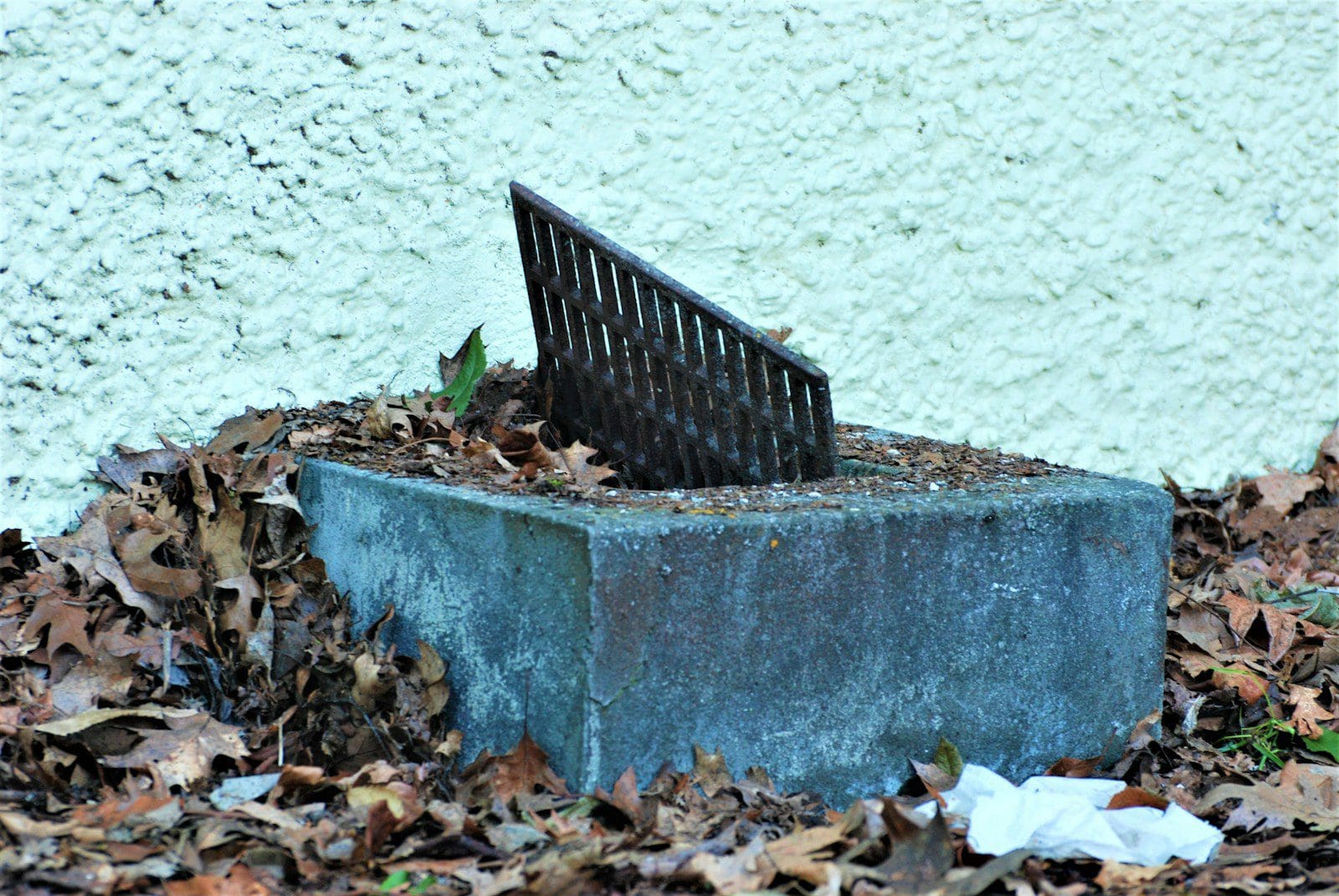 Drain Repair
